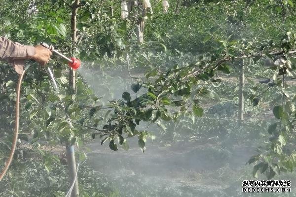 果樹水溶肥怎么使用
