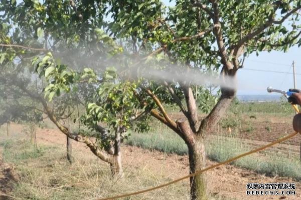 果樹水溶肥怎么使用
